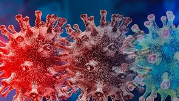 CHINA: చైనాలో మరో కొత్త వైరస్..ప్రపంచానికి డేంజర్ బెల్స్ CHINA: చైనాలో మరో కొత్త వైరస్..ప్రపంచానికి డేంజర్ బెల్స్