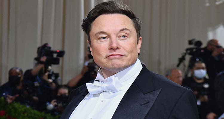 Elon Musk  : ఎలాన్‌ మస్‌కు షాక్‌… ఫెడరల్‌ ఉద్యోగులు మూకుమ్ముడిగా