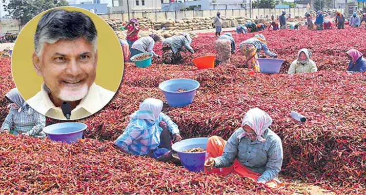 Chandrababu  :ఫలించిన చంద్రబాబు ప్రయత్నాలు … కేంద్ర ప్రభుత్వం శుభవార్త