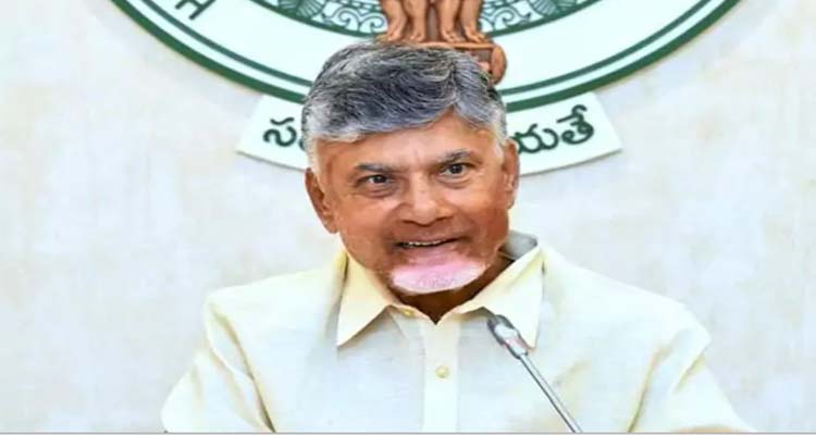 Ongolu Gitta : రూ.41 కోట్లు పలకడం శుభపరిణామం : చంద్రబాబు