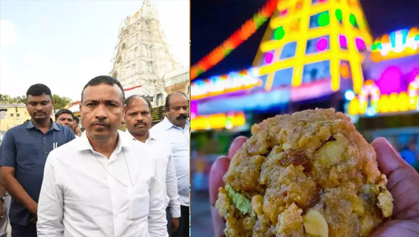TTD: తిరుమల కల్తీ నెయ్యి వ్యవహారంలో అరెస్టుల పర్వం..! సిట్ దూకుడు పెంచిందా..?