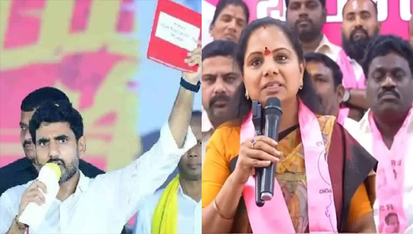 Pink Book: లోకేష్ రెడ్ బుక్ ఆదర్శంగా తెలంగాణ పింక్ బుక్..
