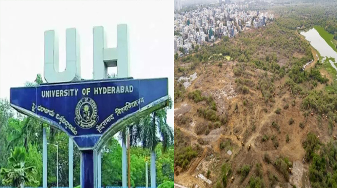 HCU Lands: రాజకీయ రంగు పులుముకున్న HCU భూముల గొడవ..! రంగంలోకి దిగిన రేవంత్ సర్కార్..!!