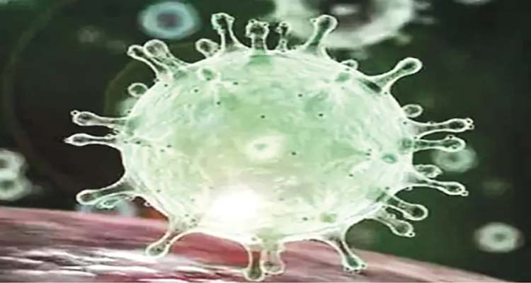 Russia : రష్యాలో మరో కొత్త వైరస్ ? Russia : రష్యాలో మరో కొత్త వైరస్ ?