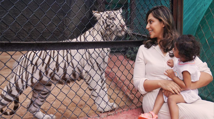White Tiger ‘Klinkaara’: క్లీంకార పేరుతో ఉన్న పులిని కలిసిన రామ్ చరణ్ కుమార్తె క్లీంకార