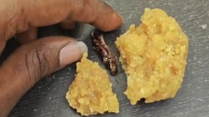 Srisailam Laddu: శ్రీశైలంలో లడ్డూ వివాదం.. ప్రసాదంలో బొద్దింక కలకలం