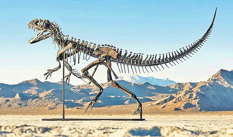 Dinosaur : వేలంలో రూ.262 కోట్లు పలికిన అస్థి పంజరం
