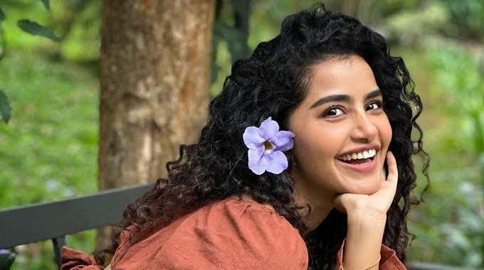 Anupama: లేడీ ఓరియెంటెడ్ సినిమాల‌పై అనుప‌మ ఏమందంటే