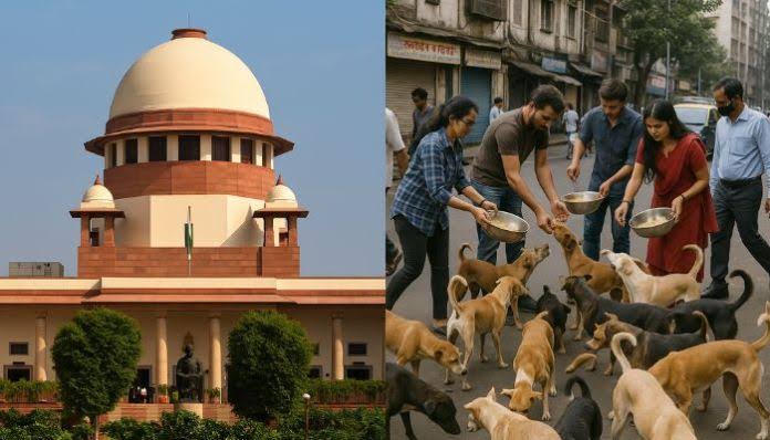 Stray Dogs: వీధి కుక్కల సమస్యపై సుప్రీంకోర్టు కీలక తీర్పు