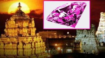 Asi Submits Crucial Report On Tirumala Srivari Temple Pink Diamond