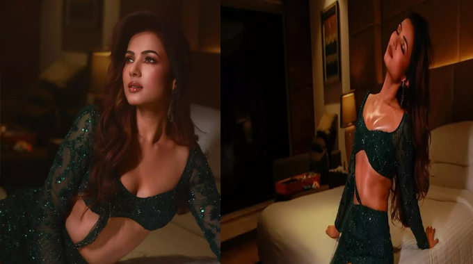 Sonal Chauhan Hot Stills On Bed