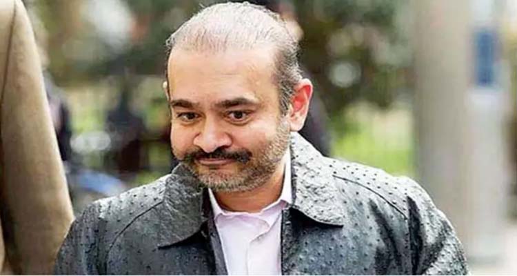 Nirav Modi Likely To Be Extradited To India On November 23 Says Reports 