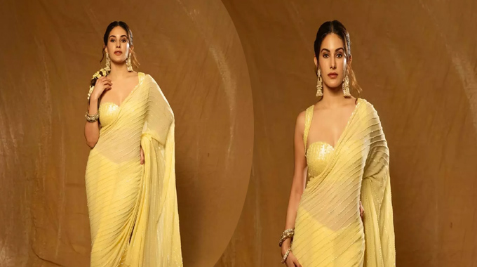 Amyra Dastur: ఇంతందం ఎలా సాధ్యమనేలా మైమరపిస్తున్న అమైరా Amyra Dastur Hot Stills
