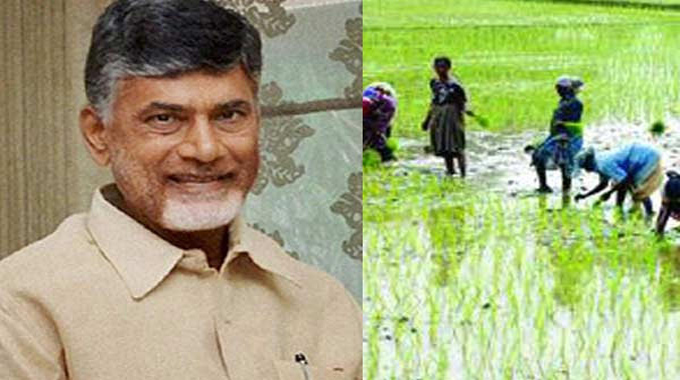 Annadata Sukhibhava: రైతులకు గుడ్ న్యూస్ చెప్పిన కూటమి ప్రభుత్వం.. Good News For Farmers