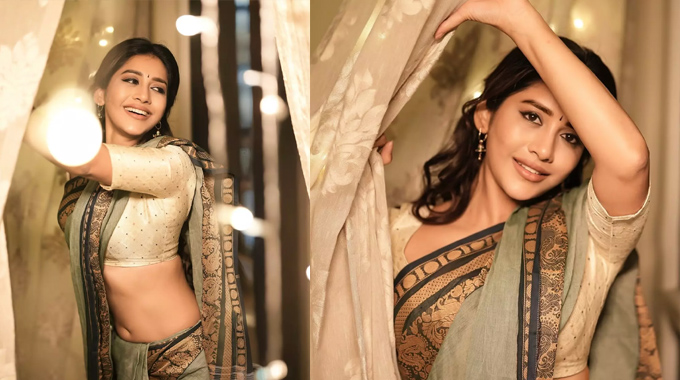 Nabha Natesh Hot In Saree 2