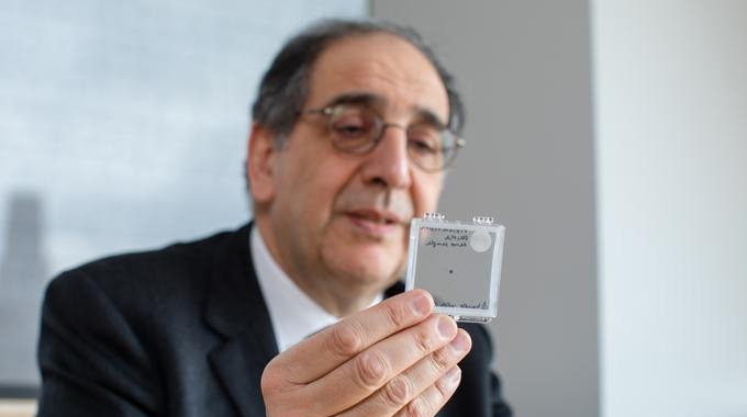 Retinal Implant Restores Central Vision In Patients Study