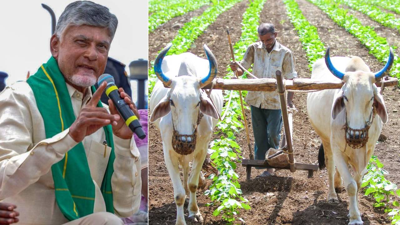 Farmers: ఏపీ రైతులకు గుడ్ న్యూస్.. ఈనెల 19న Ap Govt Good News To Farmers