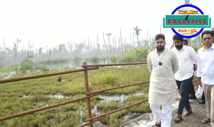 Pawan Kalyan: పల్లె పండుగలో వైసీపీ పై పవన్ ఘాటు విమర్శలు.. Pawan Kalyans Harsh Criticism Of Ysrcp At Village Festival