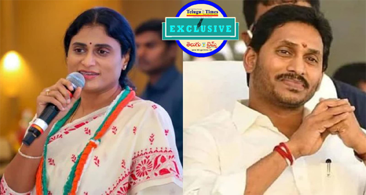 With Her New Party Sharmila Is Focusing On Jagans Vote Bank