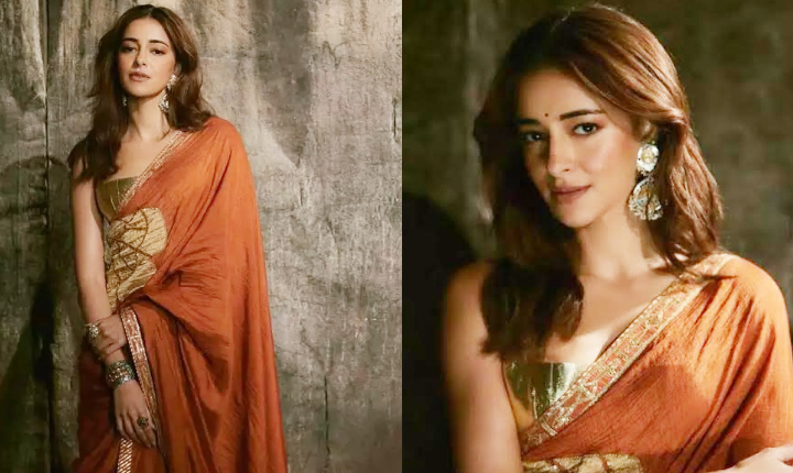 Ananya Pandey Hot In Saree