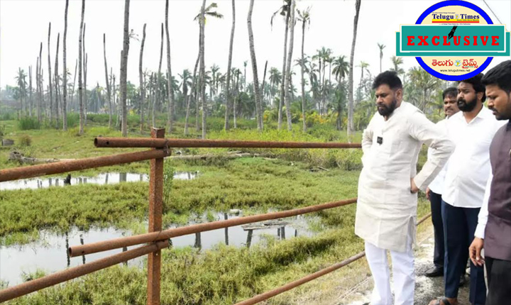 Pawan Kalyan: కోనసీమకు తెలంగాణ దిష్టి.. పవన్ అలా ఎందుకన్నారు..? Pawan Kalyan Comments On Konaseema