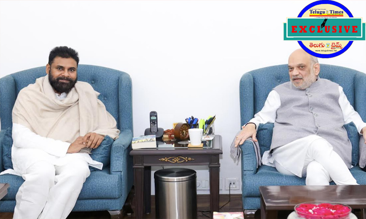 Pawan Kalyan: అమిత్ షాతో పవన్ భేటీ వెనుక భారీ స్కెచ్..!! Ap Deputy Cm Pawan Kalyan Meet Central Home Minister Amit Shah