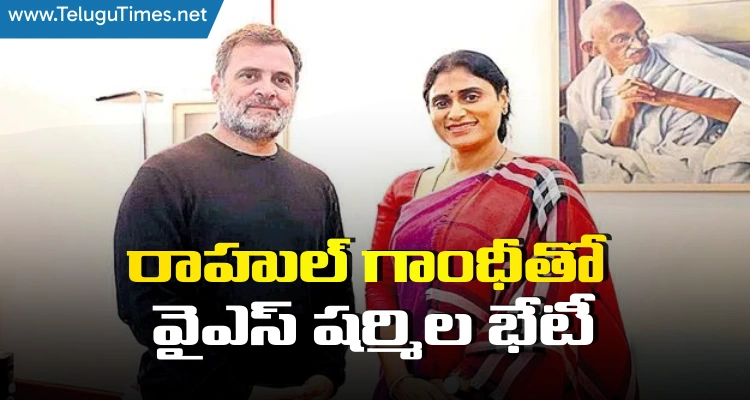 Rahul Gandhi :రాహుల్ గాంధీతో  వైఎస్ షర్మిల భేటీ