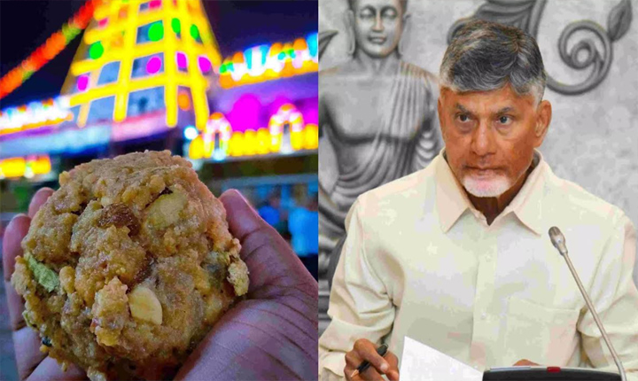 Chandrababu Naidu Says Dont Rush Into Tirumala Adulterated Ghee