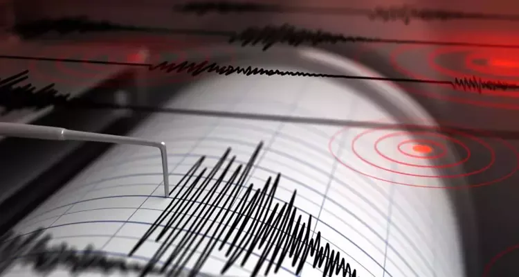 Earthquake Hits Andhra Pradesh 3 5 Magnitude Tremors Felt In Palnadu
