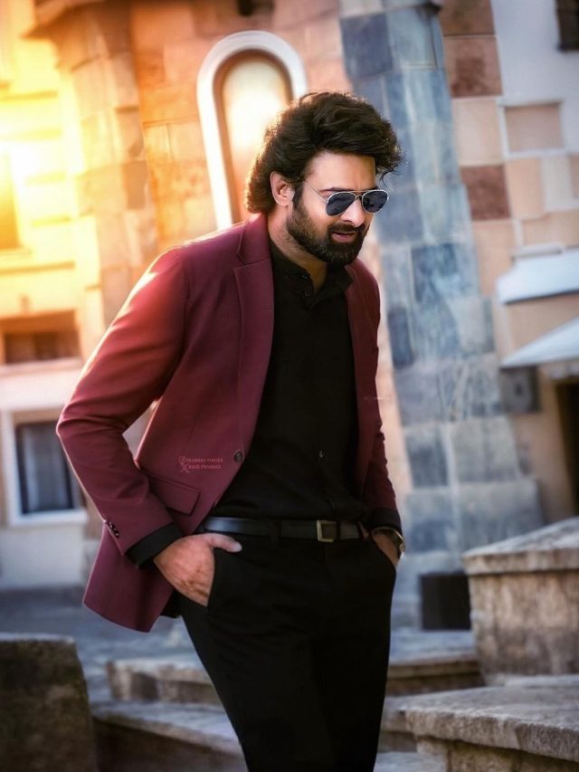 పాన్ ఇండియా స్టార్ ప్ర‌భాస్ హీరోగా మారుతి ద‌ర్శ‌క‌త్వంలో వ‌చ్చిన రీసెంట్ పాన్ ఇండియా సినిమా ది రాజా సాబ్.