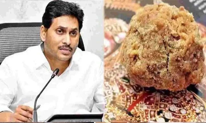 YCP: కల్తీ నెయ్యిపై వైసీపీ అనవసర రాద్ధాంతం చేస్తోందా..?