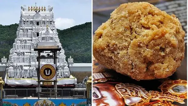 Dinesh Kumar Commission On Tirumala Laddu Adulteration 