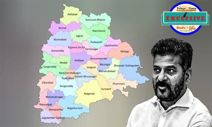 New Districts: జిల్లాల రద్దుపై సీఎం రేవంత్ రెడ్డి కీలక వ్యాఖ్యలు!
