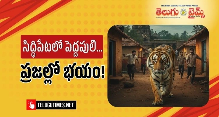Tiger: సిద్దిపేట జిల్లా పెద్దపులి హల్చల్ Tiger: సిద్దిపేట జిల్లా పెద్దపులి హల్చల్
