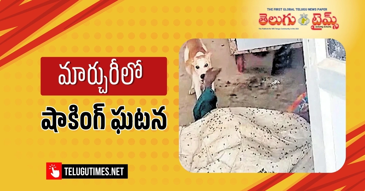 Stray Dog Mauls Dead Body In Jadcherla Hospital Mortuary Four Officials Suspended 