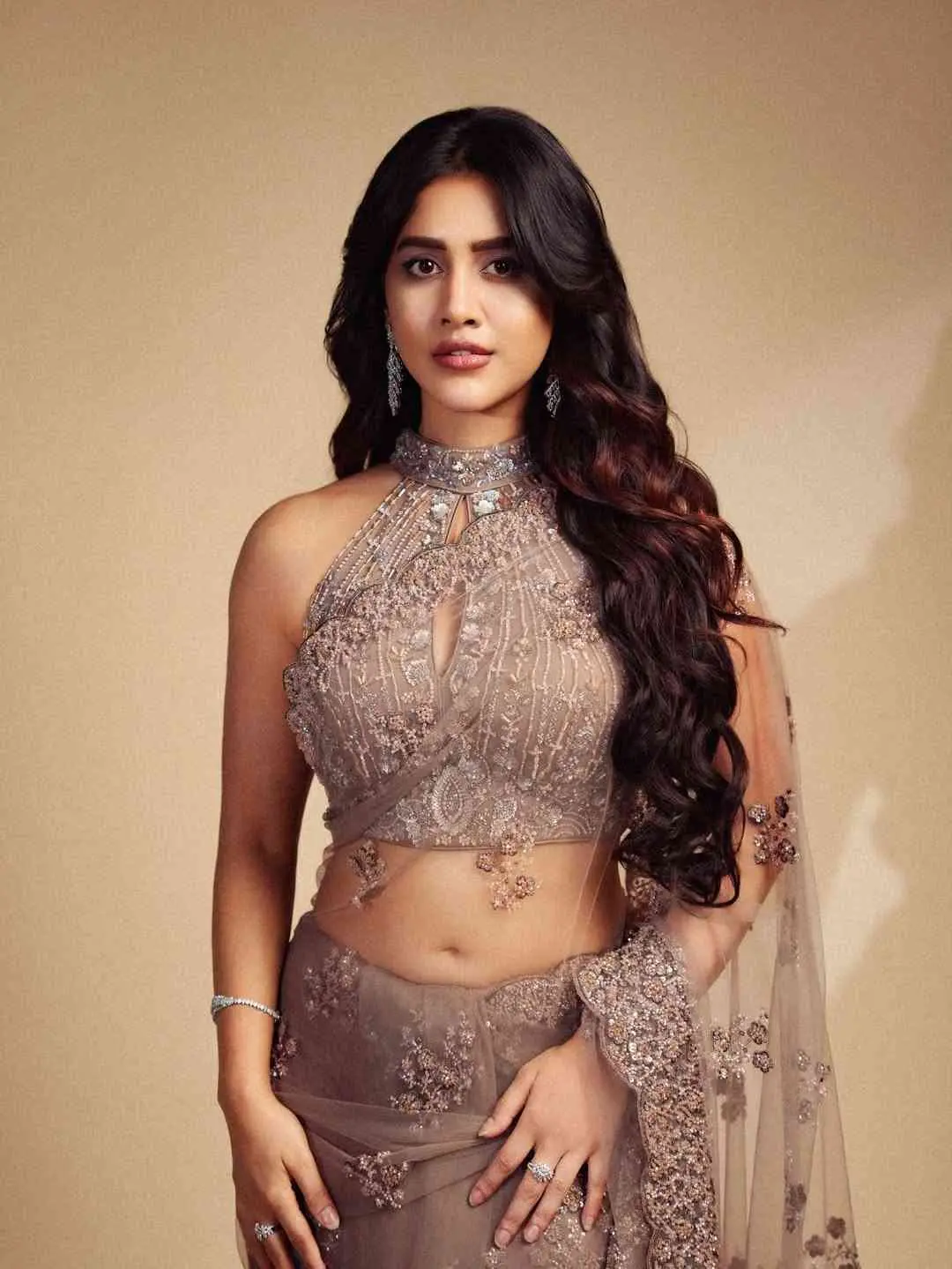Nabha Natesh