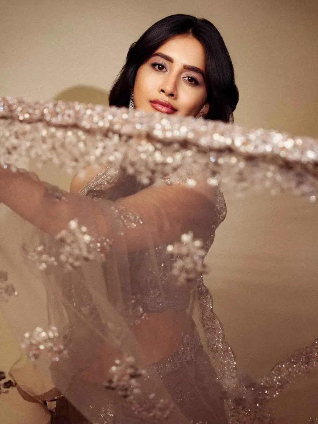 Nabha Natesh