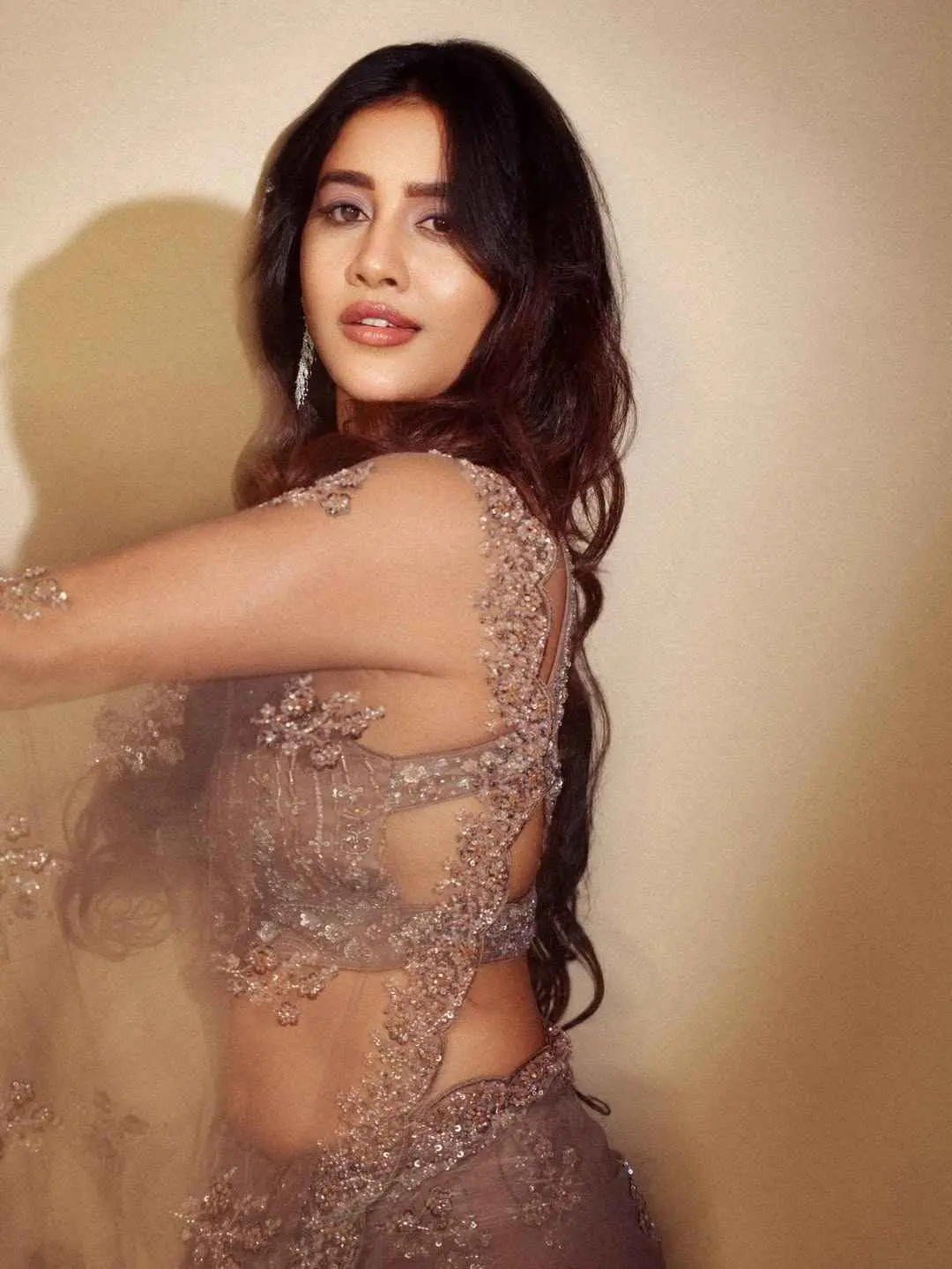 Nabha Natesh