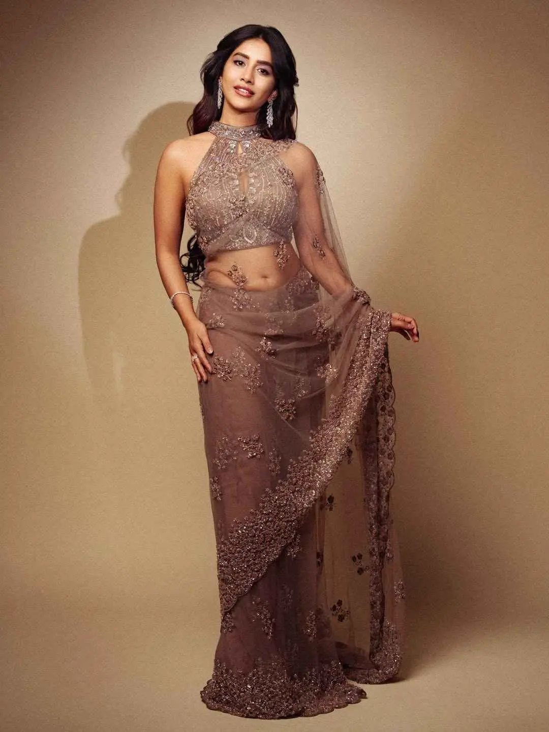 Nabha Natesh