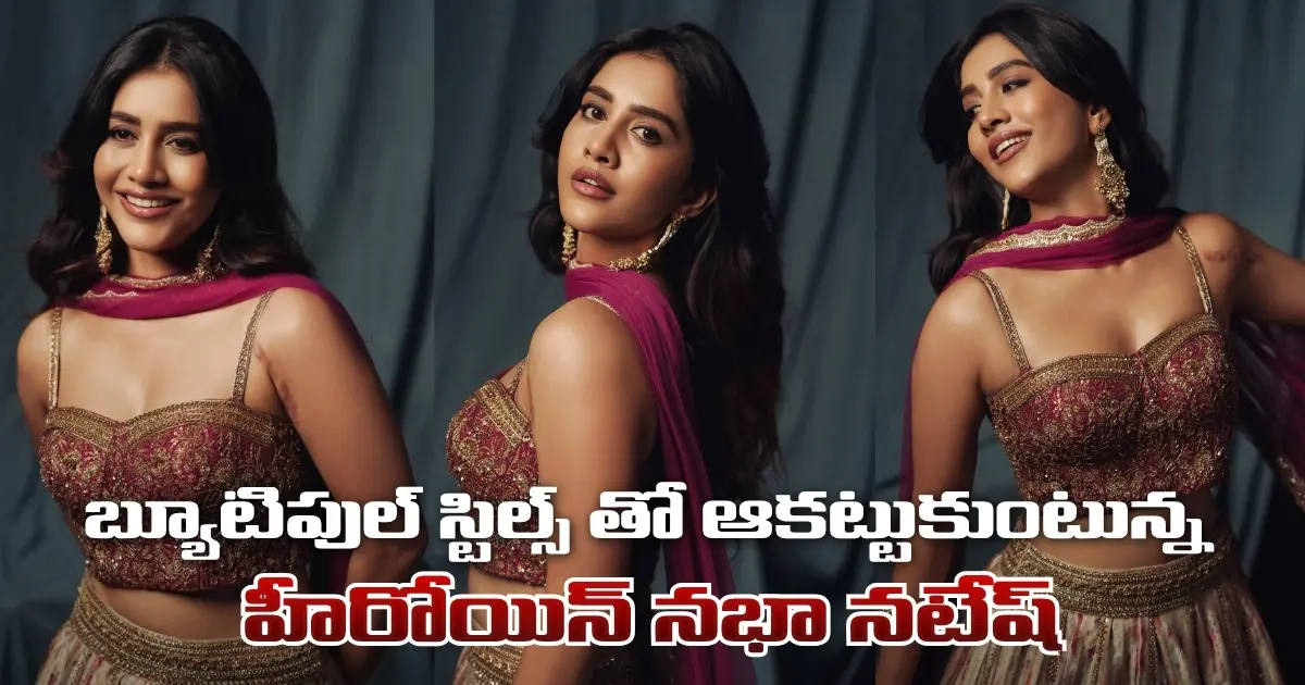 Heroine Nabha Natesh Impresses With Beautiful Stills 