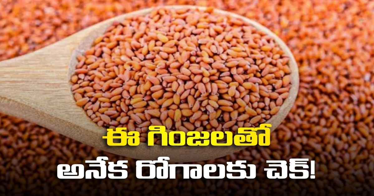 చిన్న గింజలే కానీ లాభాలు కొండంత.. ఈ గింజలతో అనేక రోగాలకు చెక్! చిన్న గింజలే కానీ లాభాలు కొండంత.. ఈ గింజలతో అనేక రోగాలకు చెక్!