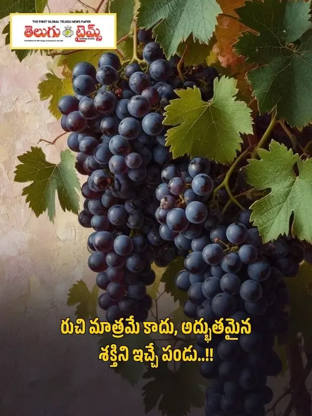 రుచి మాత్రమే కాదు, అద్భుతమైన శక్తిని ఇచ్చే పండు..!!