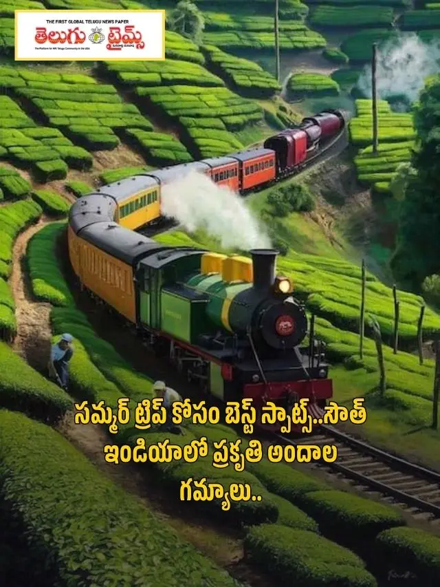 Best Spots for a Summer Trip: Destinations of Natural Beauty in South India