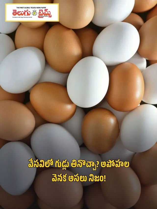 Can You Eat Eggs in Summer? The Real Truth Behind the Myths