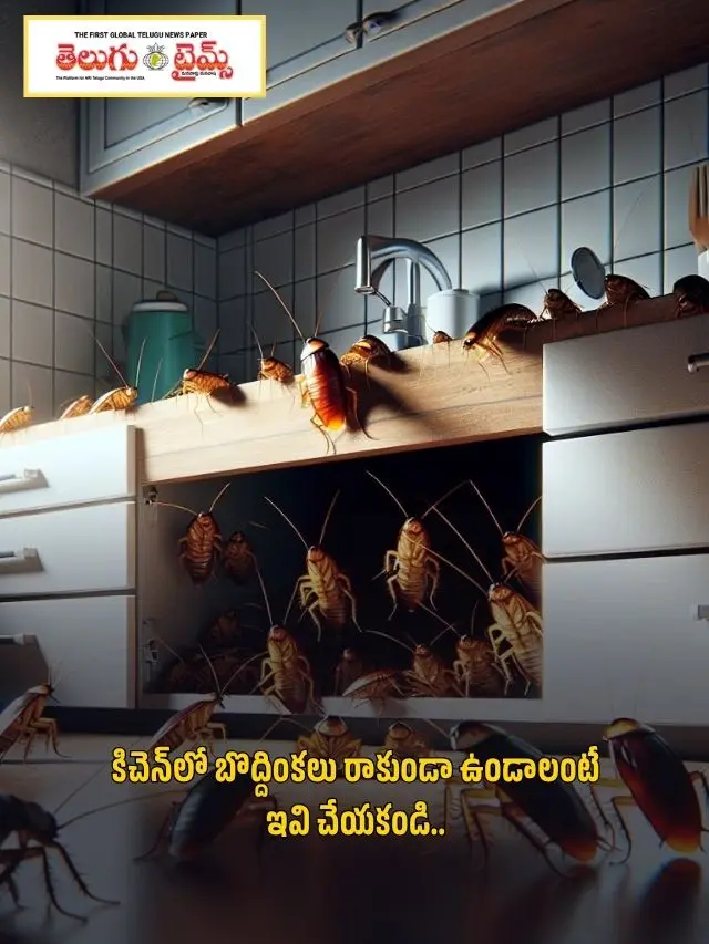 Don't do these things to avoid cockroaches in the kitchen.