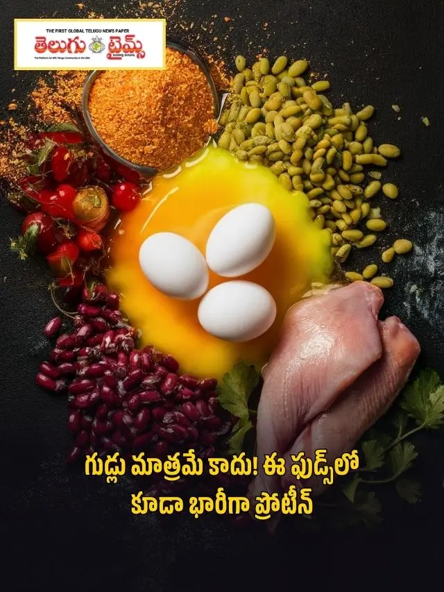 గుడ్లు మాత్రమే కాదు! ఈ ఫుడ్స్‌లో కూడా భారీగా ప్రోటీన్