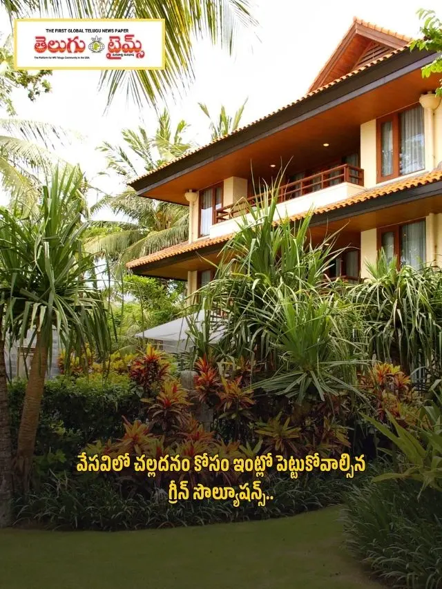 Green solutions to keep your home cool in summer