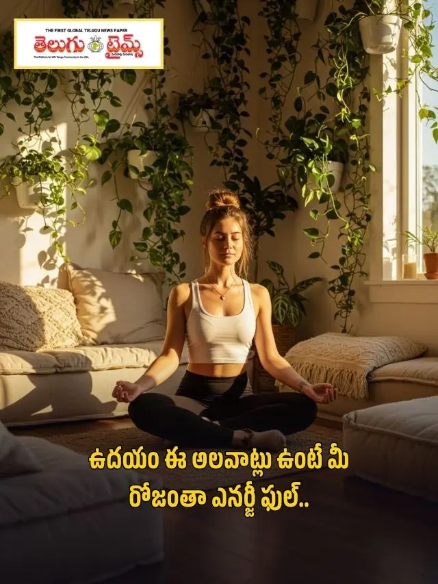 ఈ 5 ఉదయపు అలవాట్లు పాటిస్తే రోజంతా ఎనర్జీతో ఉంటారు!