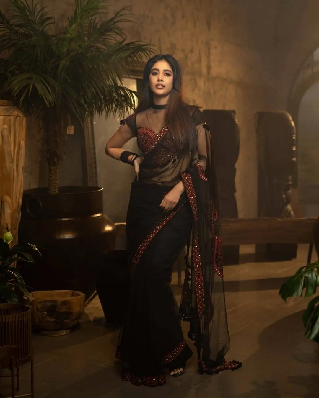 Nabha Natesh