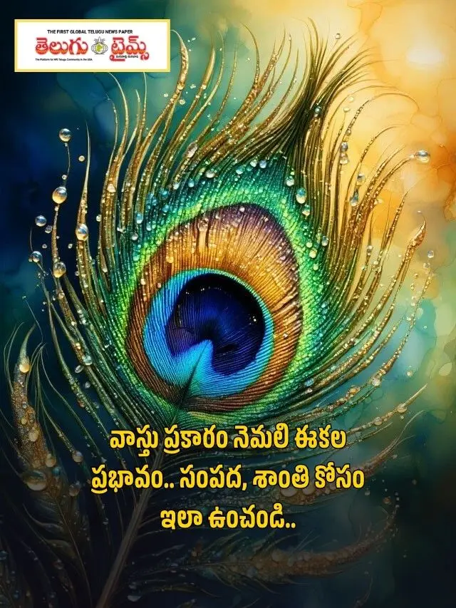 వాస్తు ప్రకారం నెమలి ఈకల ప్రభావం.. సంపద, శాంతి కోసం ఇలా ఉంచండి..